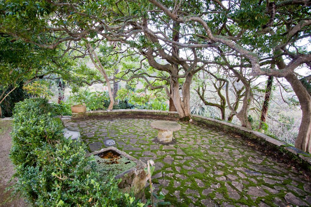 Hotel Quinta De Sao Thiago Sintra Exterior foto